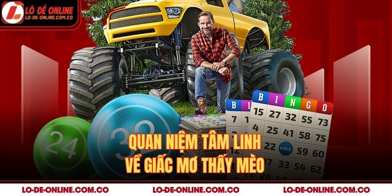 Quan niệm tâm linh về giấc mơ thấy mèo